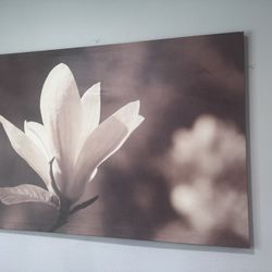 Large IKEA Wall Art – White Flower – 46.5 x 30.5 inches –10