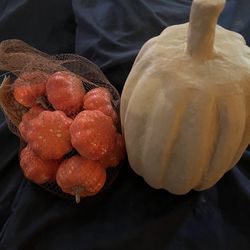 Brand New Fall Pumpkin Decorations 