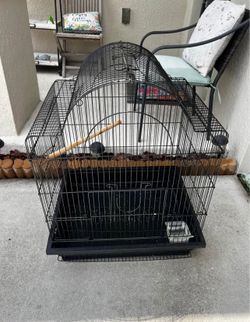 Bird Cage