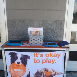 Pet Insurance 