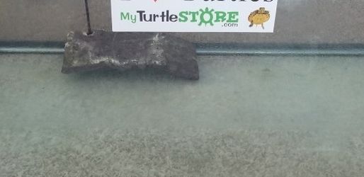 15 GALLON REPTILE TANK