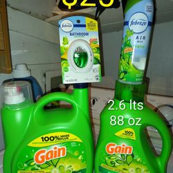 Gain Detergent Package 
