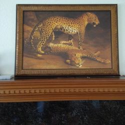29 1/2 X 41 1/2 Inches