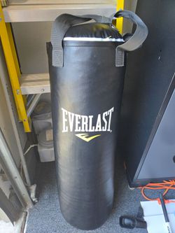 Everlast Boxing or Kick Boxing Bag