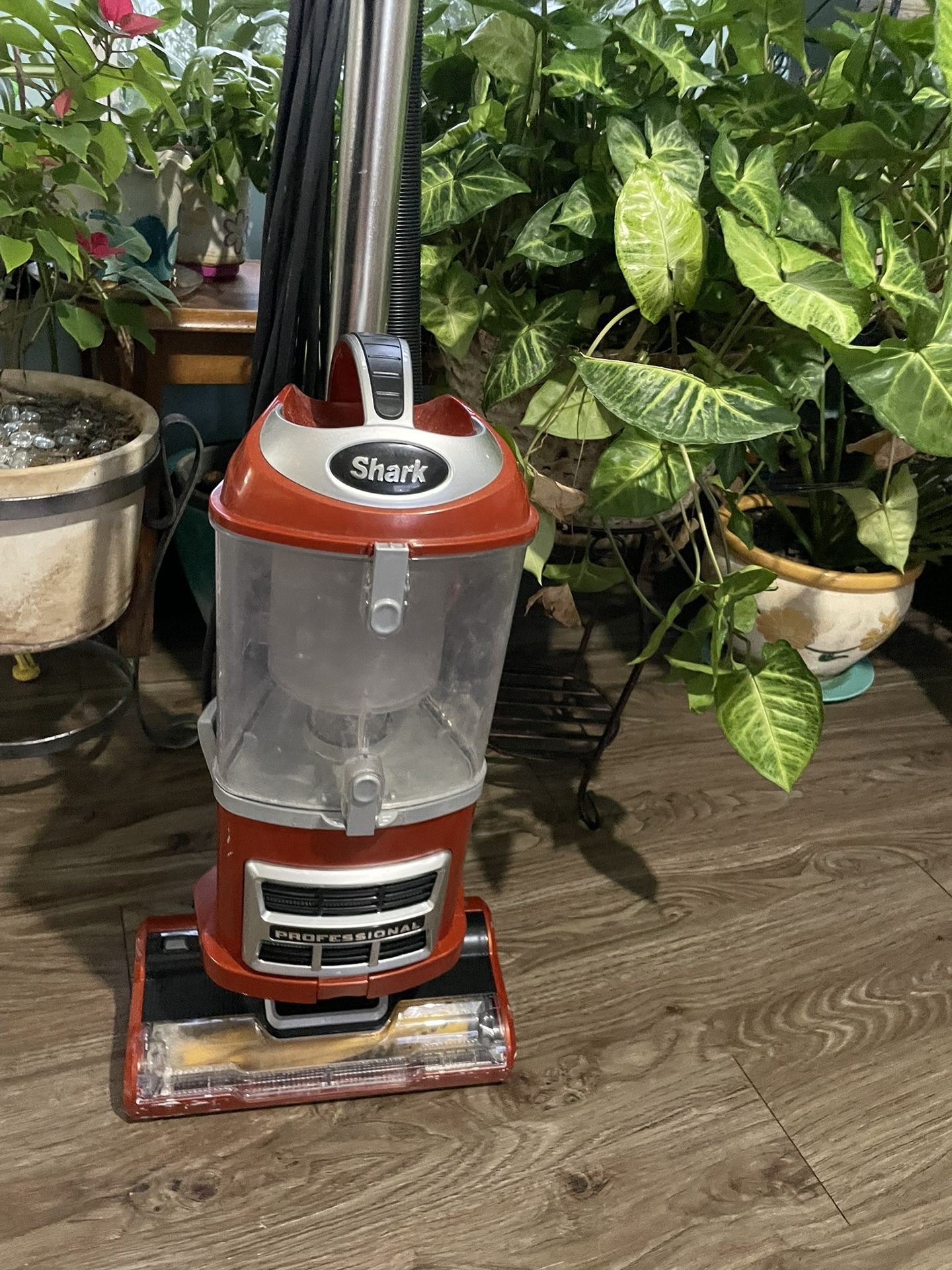 Shark Vacuum