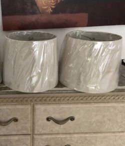 2 Lamp Shades