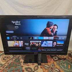 Toshiba 40" Diag Screen  Model No. 40E220U