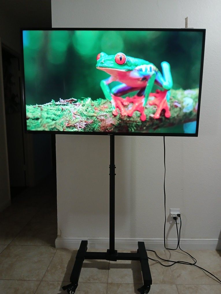 Hisense 49 Inch Smart Tv With Stand
