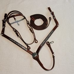 Western Bridle,  Reins, And Breast Collar With Silver Accents