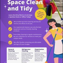 Professional cleaning Services 
