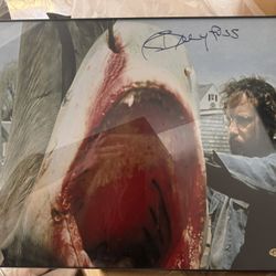 Signed Jaws Picture 