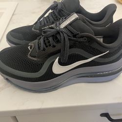 Nike Pegasus Air Zoom