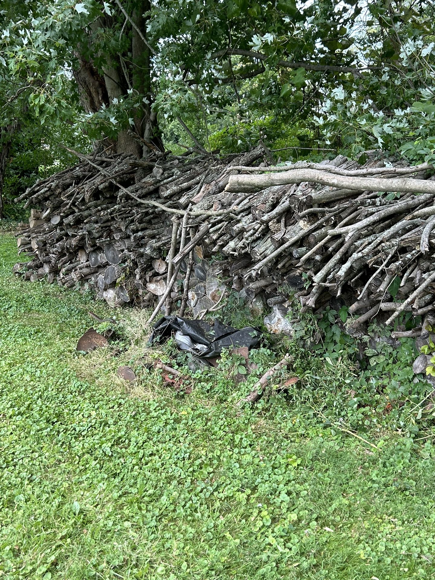 Firewood $125 / Cord
