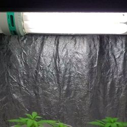 200 Watt CFL Grow Light 