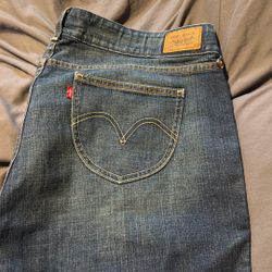 Levi’s Plus Size 