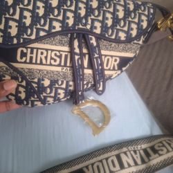 Dior purse