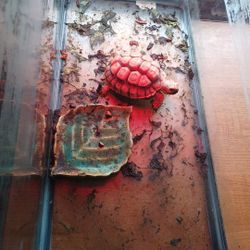 Reptile/ Fish Tank