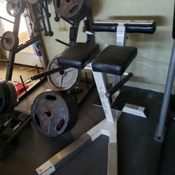 Glute-Hamstring-Developer Machine 