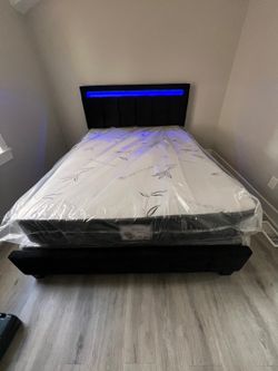 LED BED PACKAGE! 