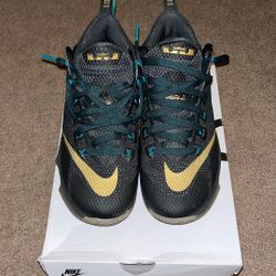 Nike Lebrons 12 low