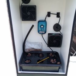 Mars Hydro Box  plants Encubator