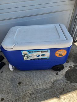Ice chest