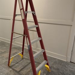 Werner 6 Foot Fiberglass Ladder