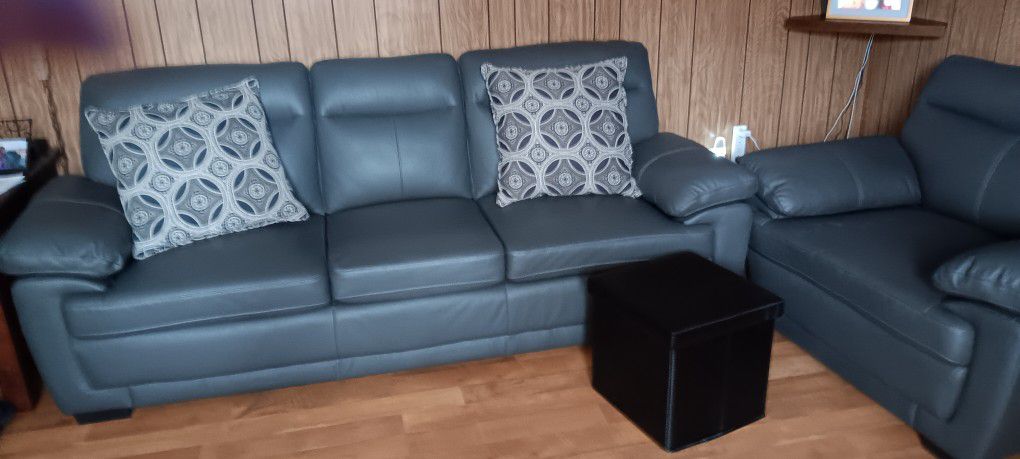 Gray  Real Leather Sofa & Chair