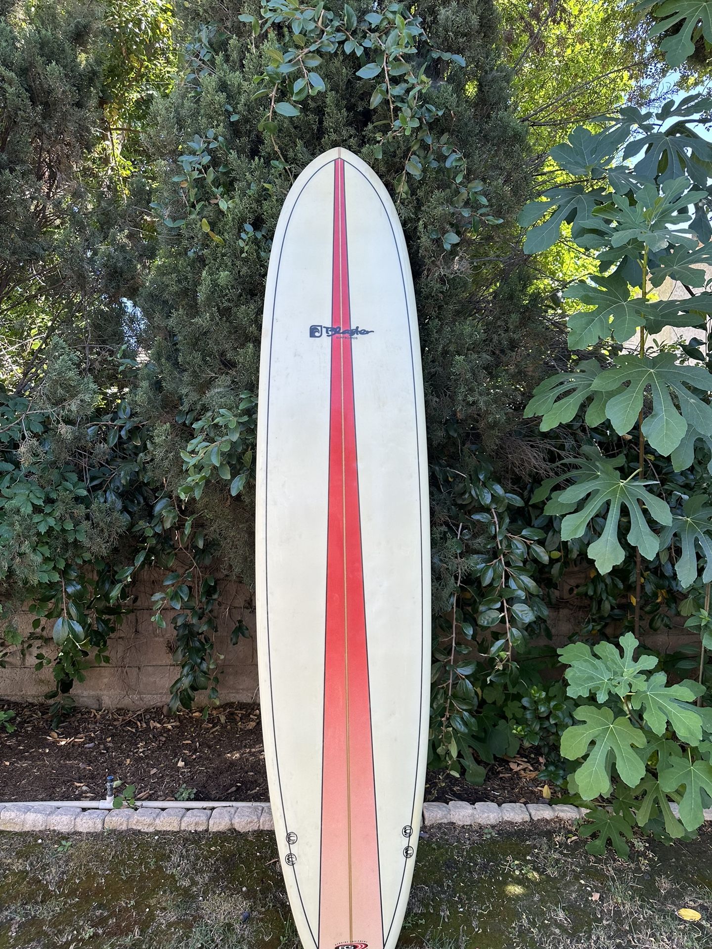 Longboard 8ft
