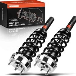 Front Pair (2) Complete Strut & Coil Spring for BMW X[hidden information], X[hidden information] (510)