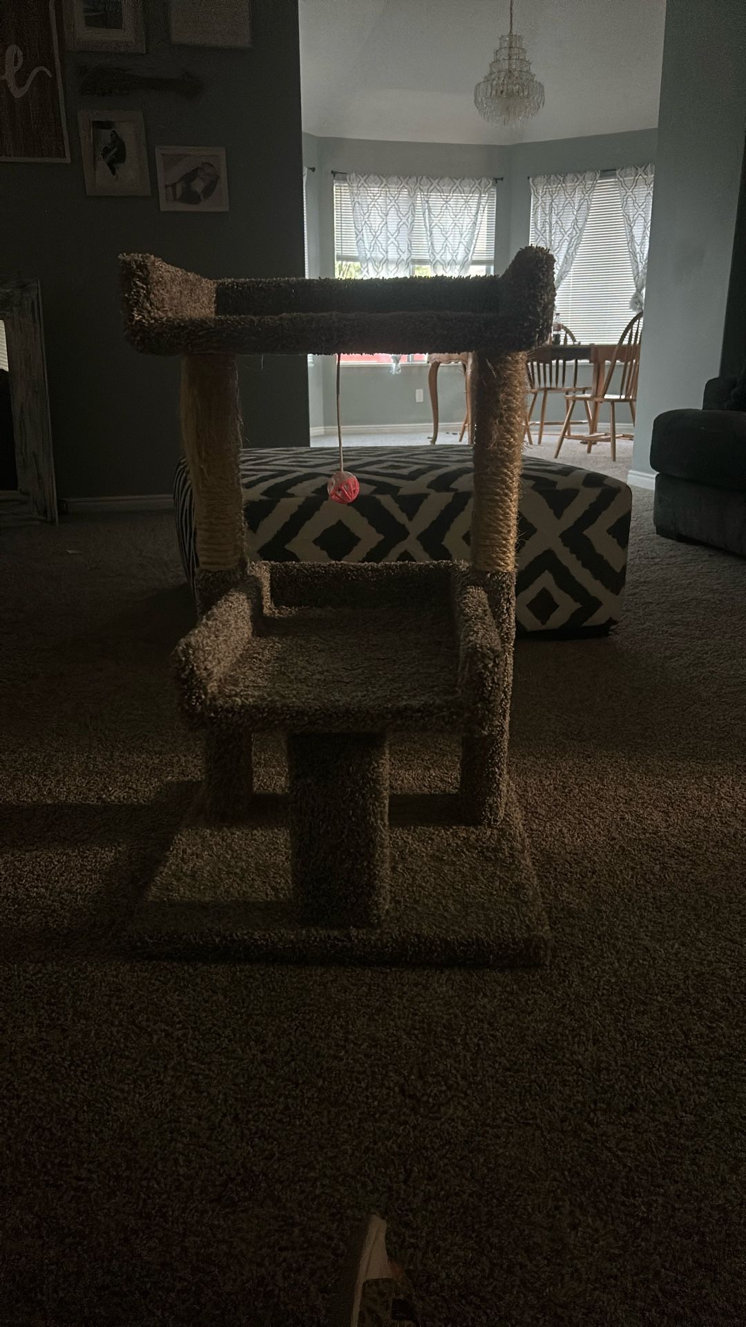 Cat Tree