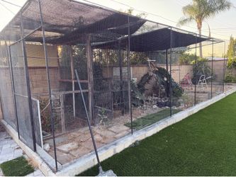 Bird Sanctuary Aviary/Cage/Dogs/Chickens/Cats/Animals