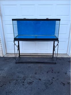 75 gallon fish tank with stand and glass lids