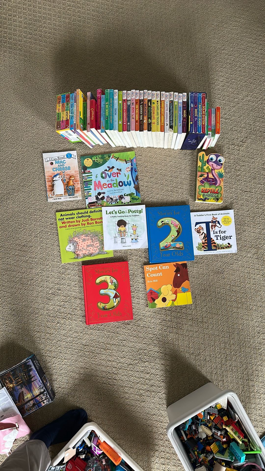 Books - Please Take Them All - $30