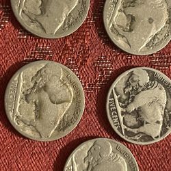 Indian Head  +buffalo Coins  