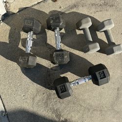 Variety Of Dumbbells And Dumbbell Rack