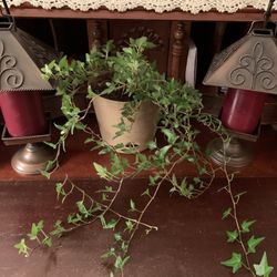 Copper Candle Holders