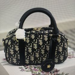 New Dior shell pillow bag