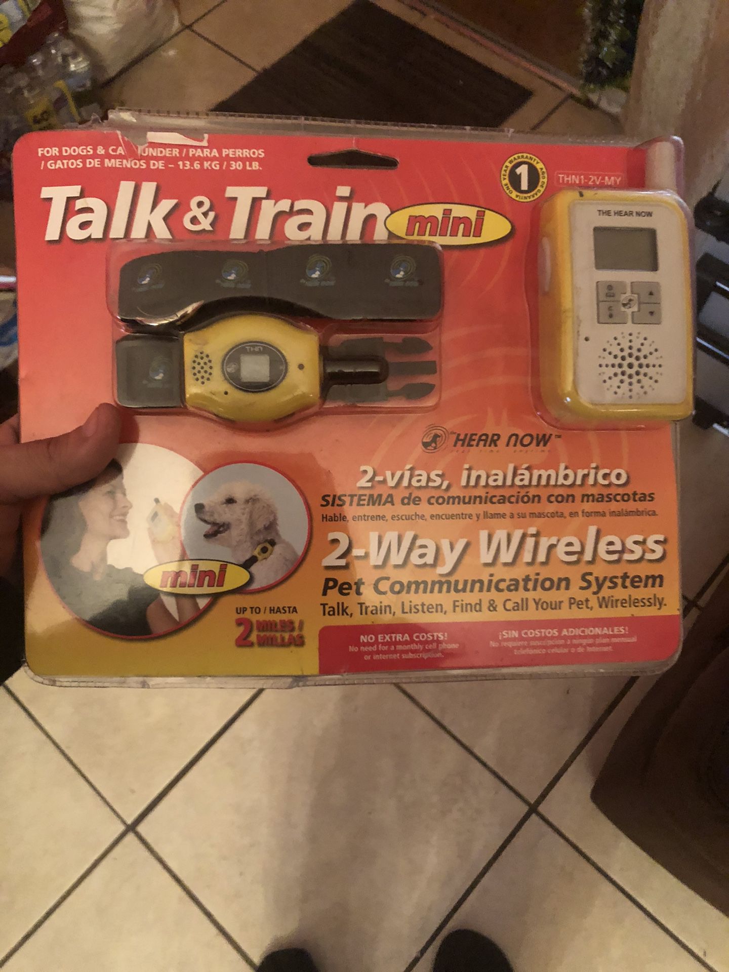 Talk and train thing for dogs