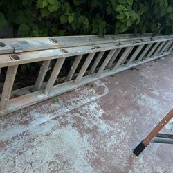 20 Ft Ladder