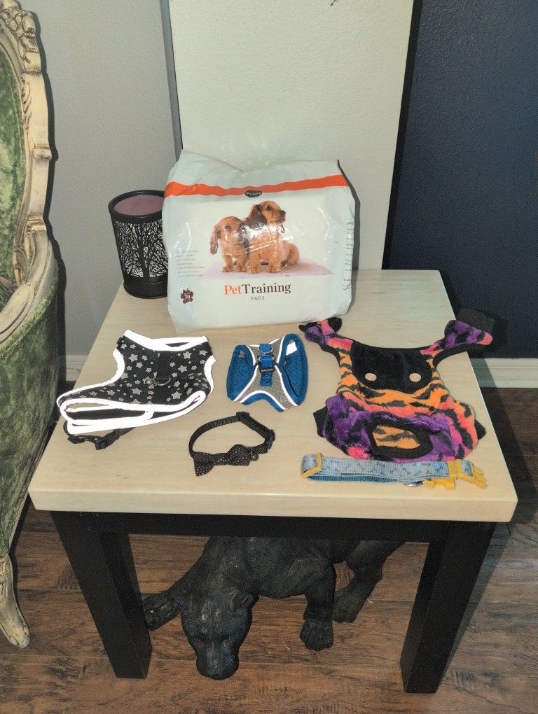 Puppy Stuff