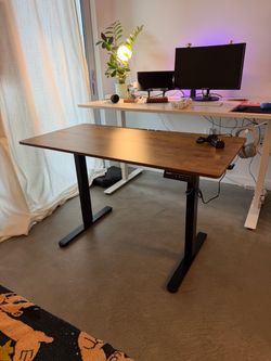 ErGear standing Desk