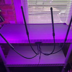 Grow Lights 