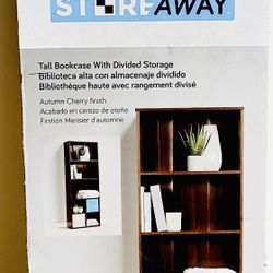 Bookshelves With Devided Storage 