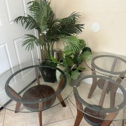 Coffee Table Set