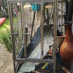 Free Birdcage 