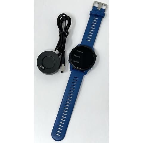 Garmin Forerunner 255 GPS Watch - Tidal Blue
