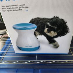 I Fetch Frenzy, A Non-electric Interactive Brain Game For Dogs