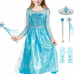 Elsa Costume Size 7 