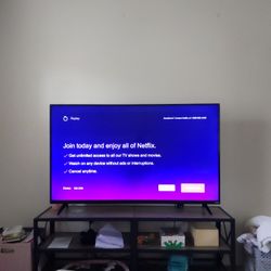 Vizio 55 Inch Tv